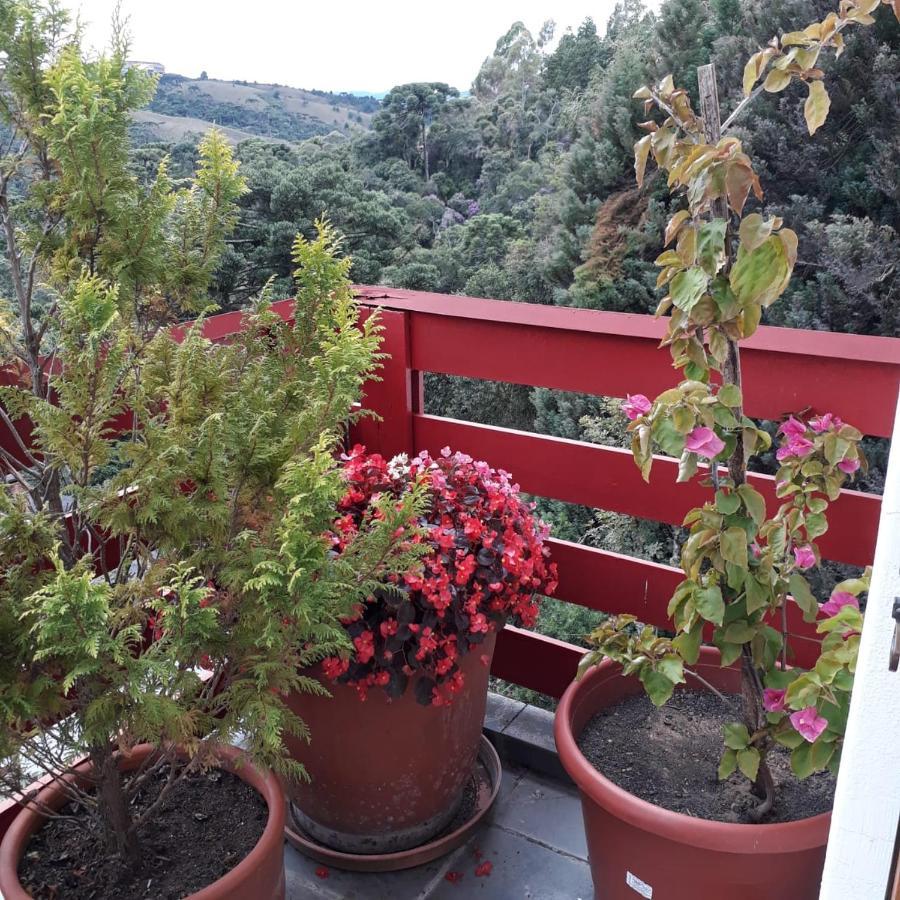 Cobertura Luxuosa De 250 M2 A 3Kms Do Centrinho Vista Espetacular Lejlighed Campos do Jordão Eksteriør billede